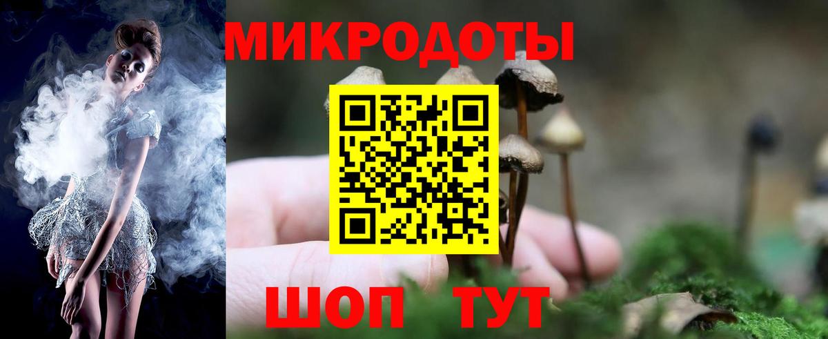 Галлюциногенные грибы Magic Shrooms  купить   Знаменск  Вход с VPN 
